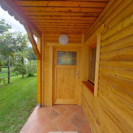 Apartma Markelj Радовлица Экстерьер фото