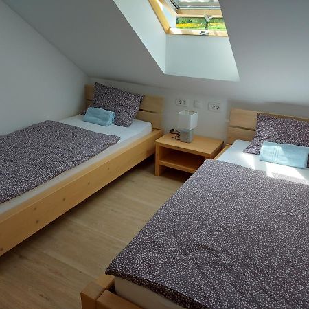 Apartma Markelj Радовлица Экстерьер фото