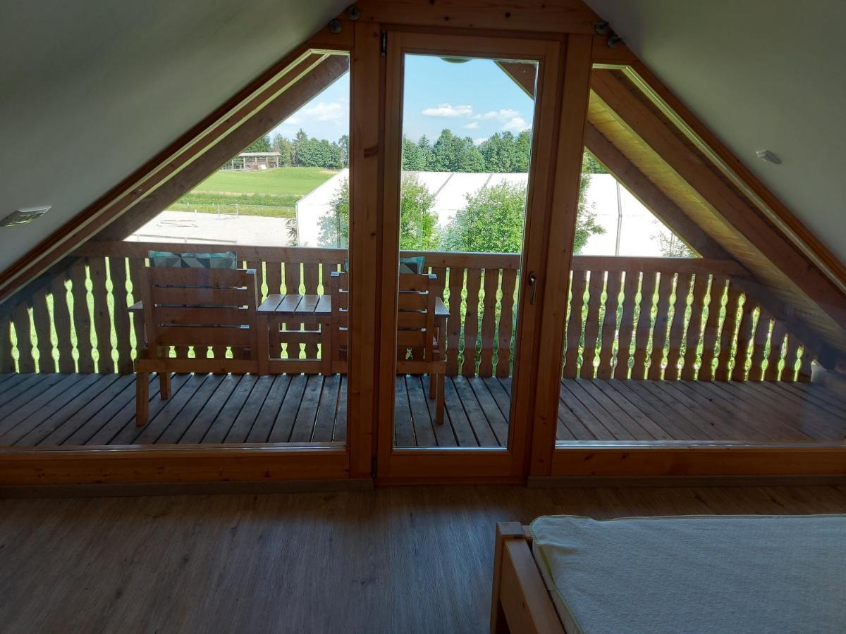 Apartma Markelj Радовлица Экстерьер фото