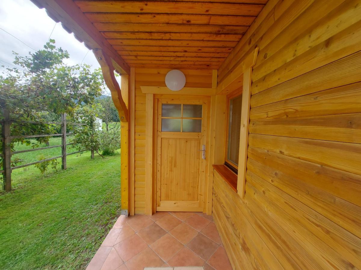 Apartma Markelj Радовлица Экстерьер фото