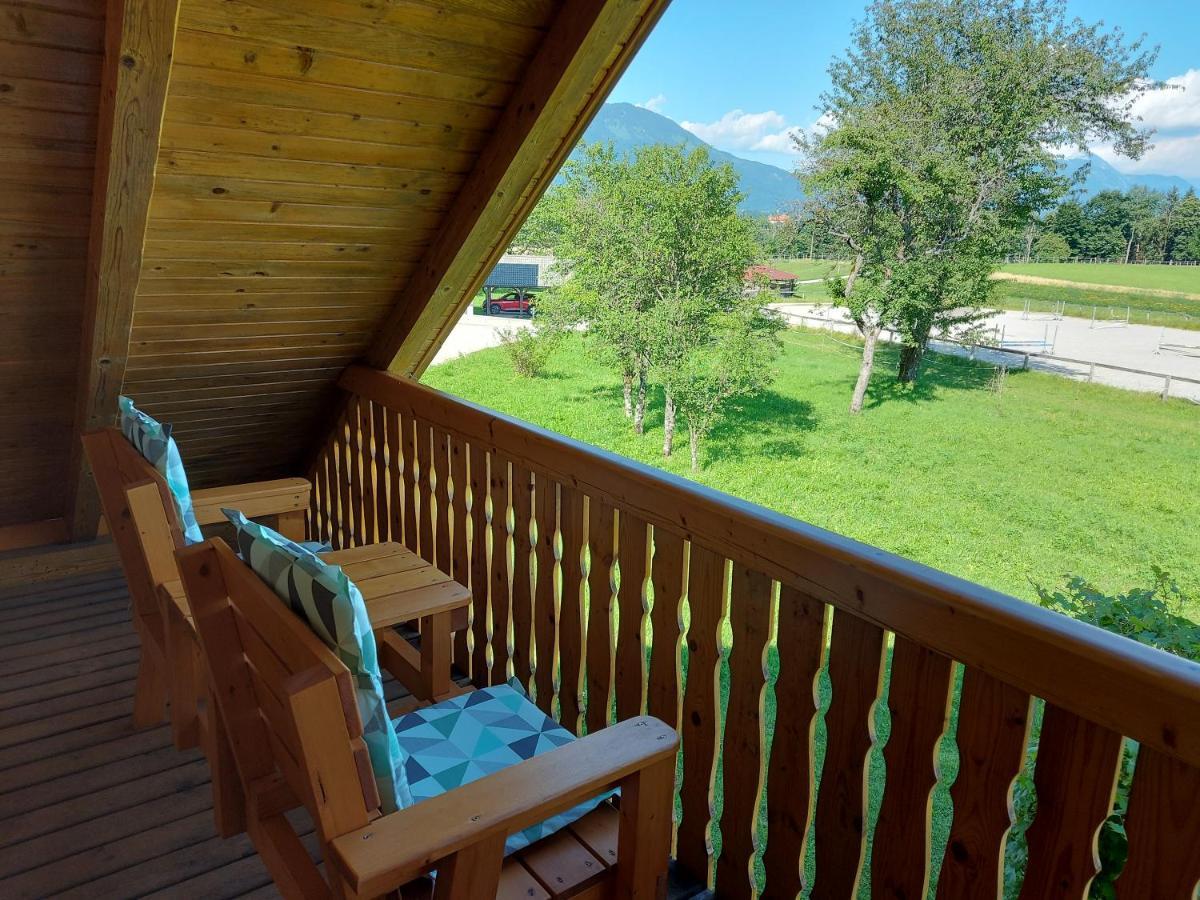 Apartma Markelj Радовлица Экстерьер фото