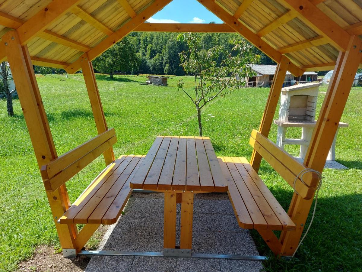 Apartma Markelj Радовлица Экстерьер фото