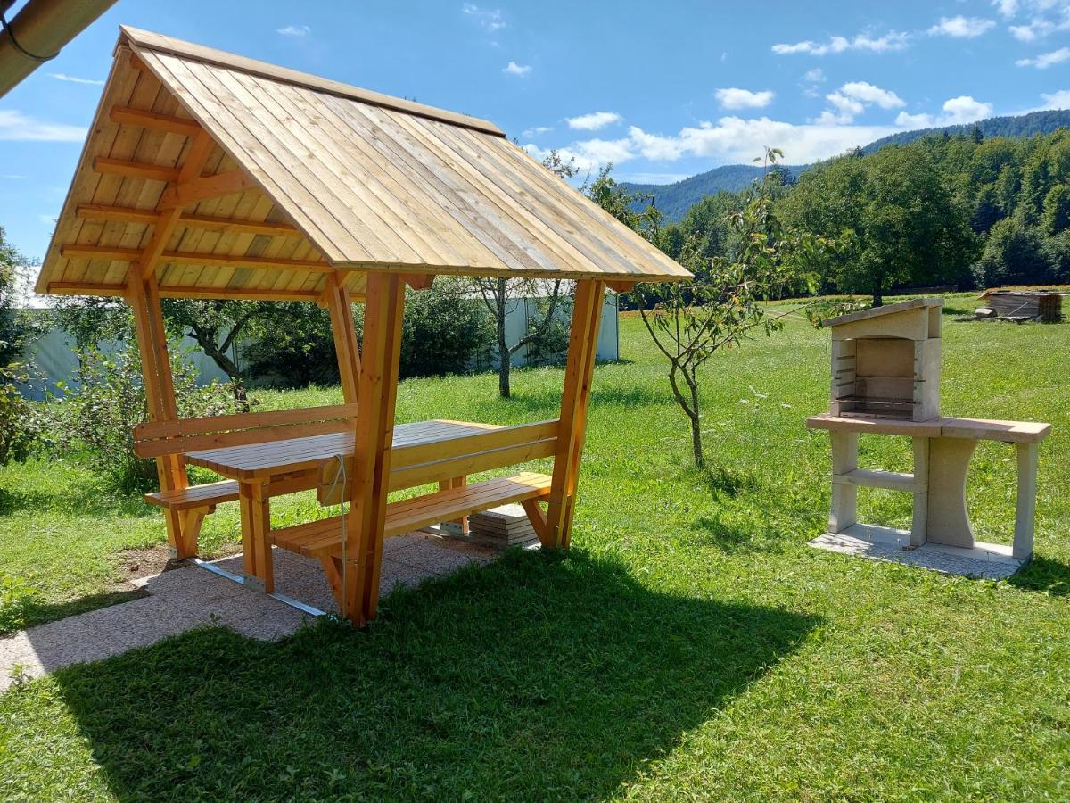 Apartma Markelj Радовлица Экстерьер фото